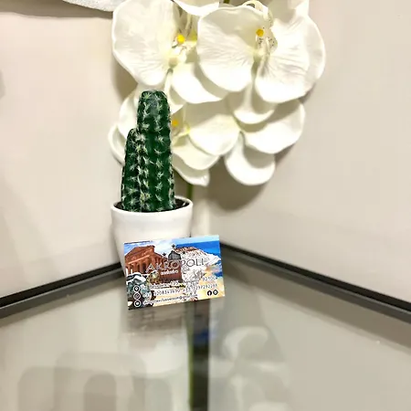 Akropoli Exclusive بيت ضيافة